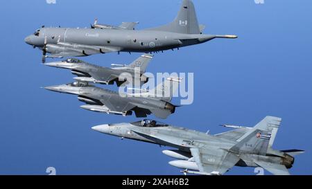 Ein Langstreckenflugzeug der Royal Canadian Air Force (RCAF) CP-140 fliegt in Formation mit zwei F-16 und einer RCAF CF-18 während Nordamerikas Stockfoto