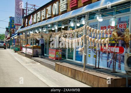 Samcheok City, Südkorea - 18. Mai 2024: Reihen getrockneter Tintenfische hängen vor einem Fischladen im Hafen von Samcheok, auf dem der lokale Fischmarkt präsentiert wird Stockfoto