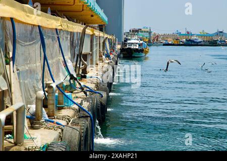 Samcheok City, Südkorea - 18. Mai 2024: Außenansicht des Samcheok Port Raw Fish Center, mit Rohren und Schläuchen, die zum Wasser führen, reflektiert t t Stockfoto