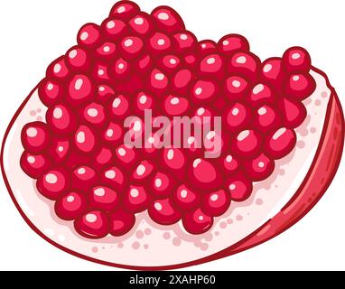 Granatapfelfrucht Farbige Detaillierte Illustration Stock Vektor