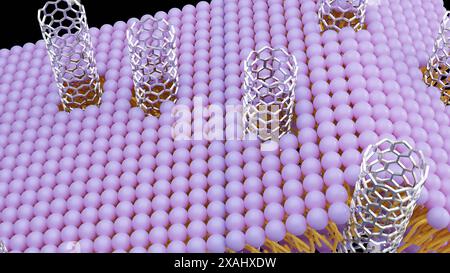 3D-Rendering von Kohlenstoff-Nanoröhren-Porinen, kurzen Stücken von Kohlenstoff-Nanoröhren, die sich selbst in eine Lipidbilayer einfügen können, Modell einer biologischen Membran Stockfoto