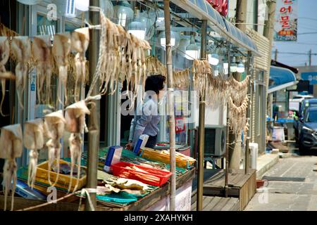 Samcheok City, Südkorea - 18. Mai 2024: Ein Verkäufer, der neben Reihen getrockneter Tintenfische steht, die vor einem Geschäft im Hafen von Samcheok hängen, um den Trad zu illustrieren Stockfoto