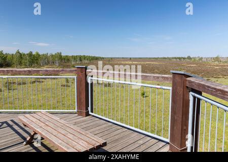 Ausblick vom Beobachtungsturm am Heidepfad in der Gohrischer Heide bei Gröditz, Sachsen, Deutschland *** Blick vom Aussichtsturm auf die Heide Stockfoto