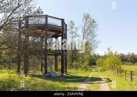 Beobachtungsturm am Heidepfad in der Gohrischer Heide bei Gröditz, Sachsen, Deutschland *** Aussichtsturm auf dem Heideweg in der Gohrischer Hei Stockfoto