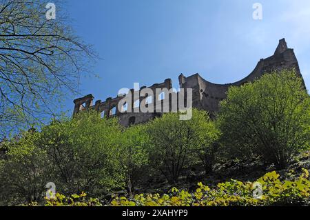 Ein Teil der 1689 zerstörten Heidelberger Burgruine in Heidelberg, Baden-Württemberg Stockfoto