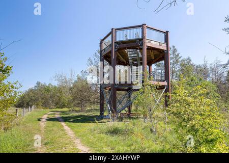 Beobachtungsturm am Heidepfad in der Gohrischer Heide bei Gröditz, Sachsen, Deutschland *** Aussichtsturm auf dem Heideweg in der Gohrischer Hei Stockfoto