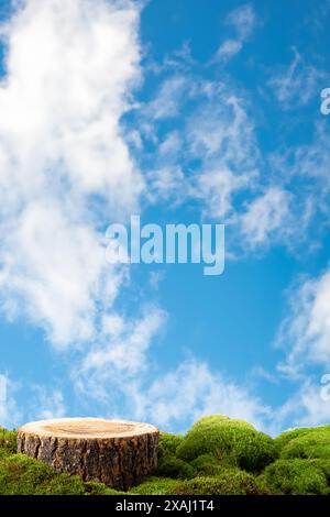 Baumstumpf auf einem moosigen Boden mit einem hellblauen Himmel und flauschigen weißen Wolken im Hintergrund. Holzsäge geschnitten, rundes Podium mit grünem Moos. Still LIFE Stockfoto