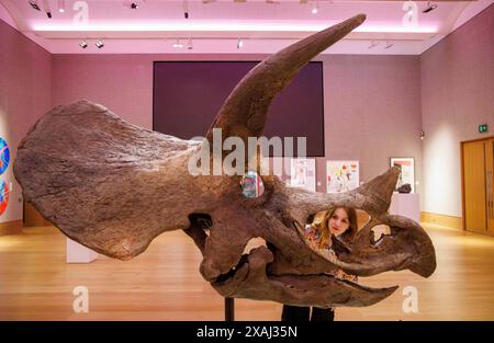 London, Großbritannien. Juni 2024. Ein Triceratops Schädel. Schätzung: £70.000 - 100.000 Cult Artists die Connor Brothers haben sich mit Bonhams zusammengetan, um alles andere als gewöhnliche zu präsentieren, eine Auktion, die am 12. Juni in der Bonhams New Bond Street in London alles außergewöhnliche feiert. Ein Teil der Auktion wird zugunsten des Teenage Cancer Trust abgehalten. Im Juni findet in der Bonhams New Bond Street eine besondere Veranstaltung mit DJ Mel C von The Spice Girls Credit: Mark Thomas/Alamy Live News statt Stockfoto