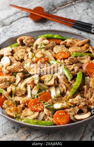 Moo Goo Gai Pfanne Chinesisch-amerikanische Version ist ein einfaches, gebratenes Gericht mit dünnen Scheiben von Hühnchen, Pilzen und anderem Gemüse in der Nähe auf dem Teller Stockfoto