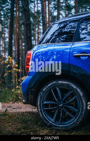 Männer mit blauen Mini Cooper Country Männern und blauem Regenschirm an bewölktem Tag im Kiefernwald. Stockfoto