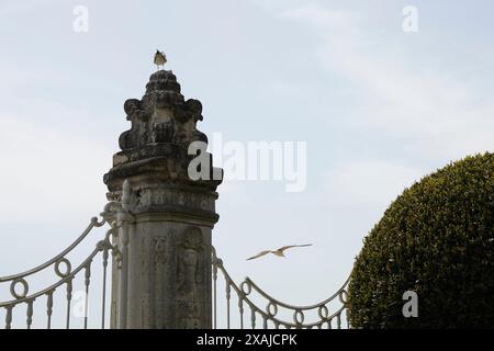 Hof des Dolmabahce Palace. Vögel und Himmel Stockfoto