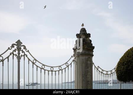 Hof des Dolmabahce Palace. Vögel und Himmel Stockfoto