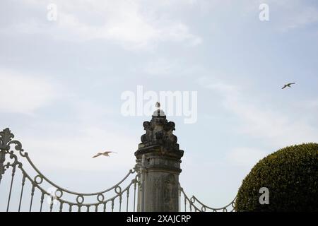 Hof des Dolmabahce Palace. Vögel und Himmel Stockfoto