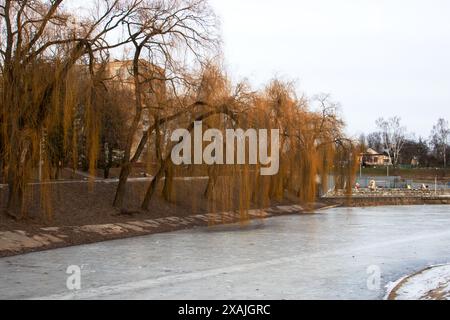 Die ruhige Szene zeigt einen gefrorenen See mit einer anmutigen Weide im Vordergrund, die Elemente des Wassers, des Himmels, der Pflanzenwelt und eines natürlichen Landes einfängt Stockfoto