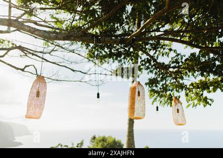 Hängende Korbleuchter und Lichter hängen im Baum an hawaiianischen Klippen Stockfoto