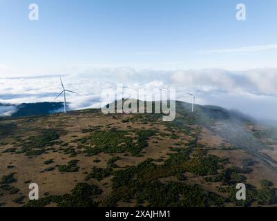 Windturbinen aus der Luft Stockfoto