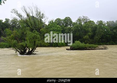 Themenfoto Hochwasser an der Isar in München am 03.06.2024. *** Themenfotoflut an der Isar in München am 03 06 2024 Stockfoto