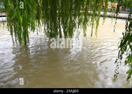 Themenfoto Hochwasser an der Isar in München am 03.06.2024. *** Themenfotoflut an der Isar in München am 03 06 2024 Stockfoto