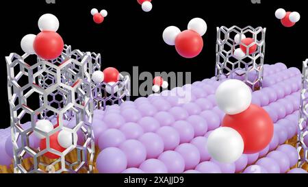 3D-Rendering von Molekülen, die durch Kohlenstoff-Nanoröhren-Porine auf Lipid-Bilayer-Membran passieren Stockfoto