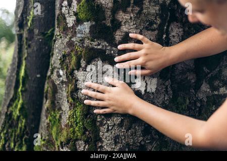 Hände berühren die moosige Rinde eines alten Baumes Stockfoto