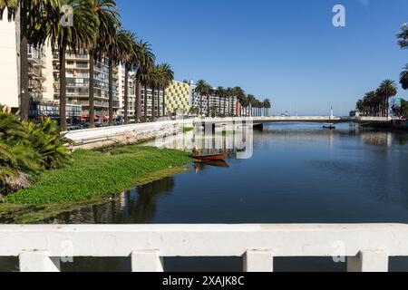 Stadtgebäude, Fluss und Palmen in Viña del Mar, Chile Stockfoto