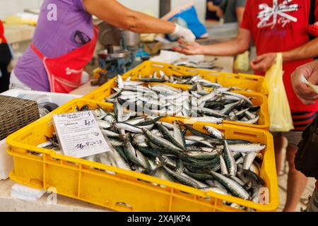 Käufer kaufen frische Sardinen auf dem Feuchtfischmarkt in Split, Kroatien. Stockfoto