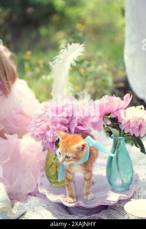 Orangefarbenes Kätzchen mit blauem Band zwischen rosa Blumen und Vasen. Stockfoto