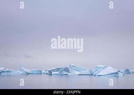 Eisberge im Antarktischen Ozean vor der Antarktischen Halbinsel Stockfoto