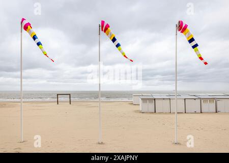 Windsocks am Strand von Knokke, Knokke-Heist, Westflandern, Belgien Stockfoto