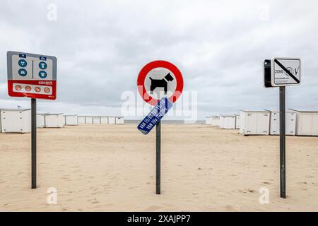 Am Strand von Knokke, Knokke-Heist, Westflandern, Belgien Stockfoto