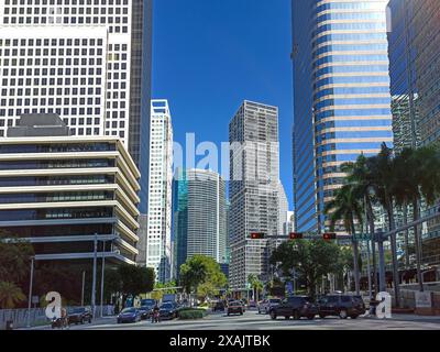 Brickell Avenue, Miami, Florida, USA, Stockfoto