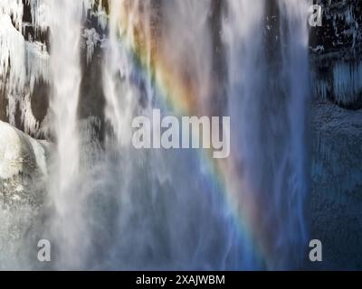 Seljalandsfoss, egal zu welcher Jahreszeit, es ist immer ein lohnender Halt, Sudurland, Island Stockfoto