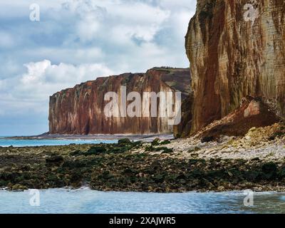 Auf den Klippen von Plage des Grandes Dalles, Normandie, Frankreich Stockfoto