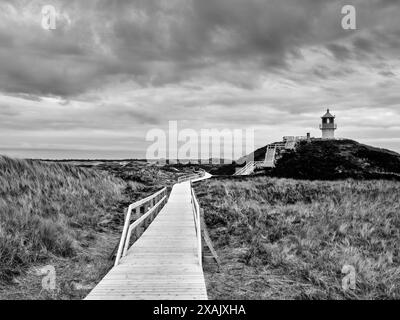 Am Kreuzfeuer an der Westküste von Amrum im Nationalpark Wattenmeer, Norddeutschland Stockfoto