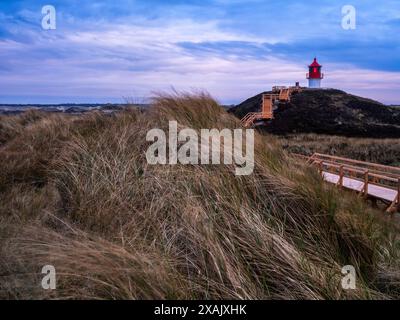 Am Kreuzfeuer an der Westküste von Amrum im Nationalpark Wattenmeer, Norddeutschland Stockfoto