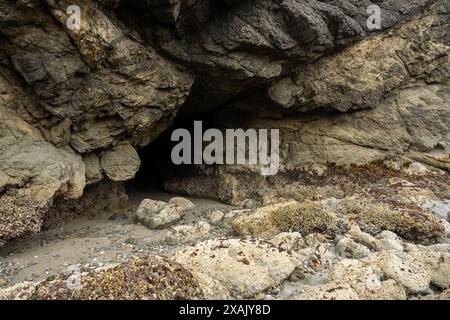 Eintritt zur Dark Sea Cave bei Low Tide am Meyers Beach entlang der Küste von Oregon Stockfoto