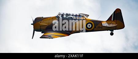 Die North American Aviation T-6 Texan ist ein einmotoriges, fortgeschrittenes Trainingsflugzeug für Piloten. Stockfoto