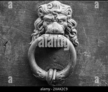 Ein Türring aus Metall mit einem Löwenkopf Stockfoto