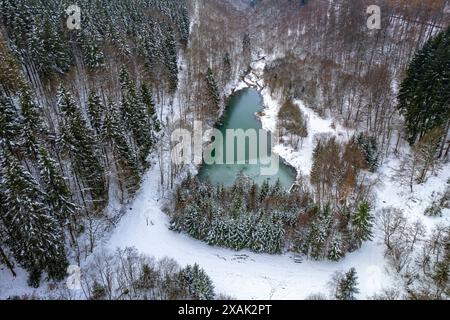 Schneebedeckter Wald und Bodensee bei Winterberg aus der Luft gesehen, Sauerland, Nordrhein-Westfalen, Deutschland Stockfoto