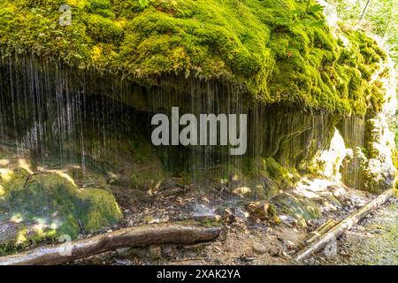 Dietfurter Schleierfall in der Wutachschlucht, Schwarzwald, Baden-Württemberg, Deutschland Stockfoto