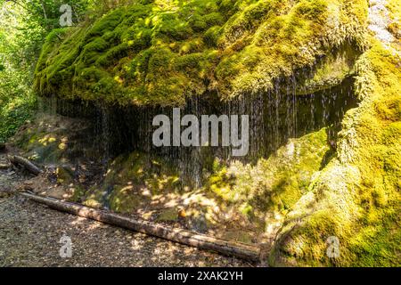 Dietfurter Schleierfall in der Wutachschlucht, Schwarzwald, Baden-Württemberg, Deutschland Stockfoto