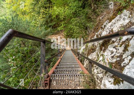Treppe zu den Echelles de la Mort Todesleitern im Doubs-Tal, Charquemont, Bourgogne-Franche-Comte, Frankreich, Europa Stockfoto