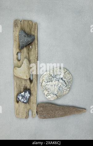 Sammlung von Objekten, die am Strand gefunden wurden, Stillleben Stockfoto