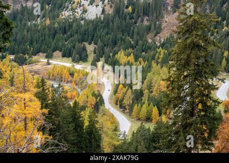 Malerische gewundene Straße am Maloja Pass in der Schweiz im Herbst Stockfoto