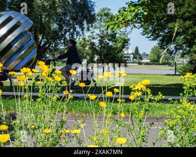 Bonn, Deutschland, Deutschland. Juni 2024. Eine Kugelmetallskulptur am Rheinufer im Frühjahr in Bonn. (Kreditbild: © Bianca Otero/ZUMA Press Wire) NUR REDAKTIONELLE VERWENDUNG! Nicht für kommerzielle ZWECKE! Stockfoto