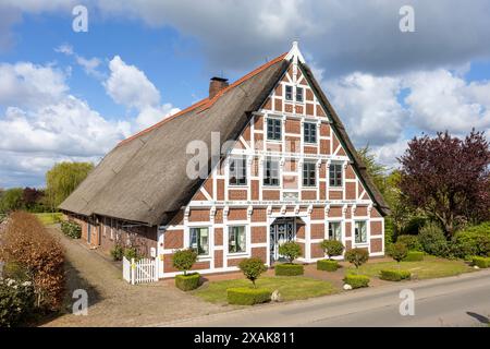 Altes Bauernhaus, Fachwerkhaus mit Strohdach Stockfoto