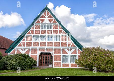 Altes Bauernhaus, Fachwerkhaus mit Strohdach Stockfoto