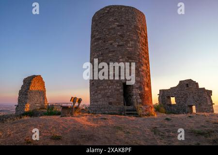 Donjon und Mauern der Burgruine Desenberg in der Warburg Börde bei Sonnenaufgang im Sommer, Warburg, Bezirk Höxter, Nordrhein-Westfalen, Deutschland Stockfoto