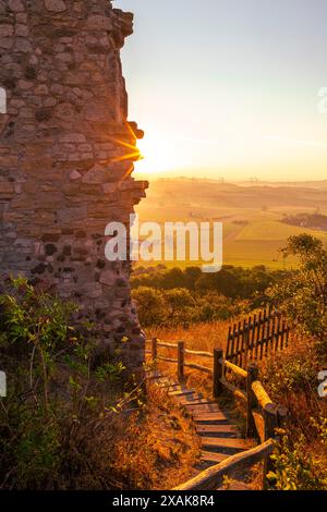 Sonnenaufgang auf der Ruine von Schloss Desenberg bei Warburg, Blick auf die Treppe, die zur Burg führt, Bezirk Höxter, Nordrhein-Westfalen Stockfoto