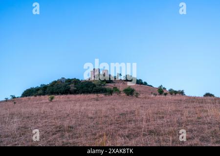 Burgruine Desenberg vor Sonnenaufgang im Sommer, Warburger Börde, Warburg, Landkreis Höxter, Nordrhein-Westfalen, Deutschland Stockfoto